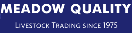 Meadow Quality Logo