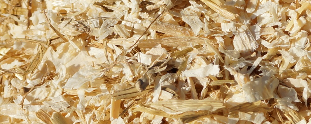 Sawdust