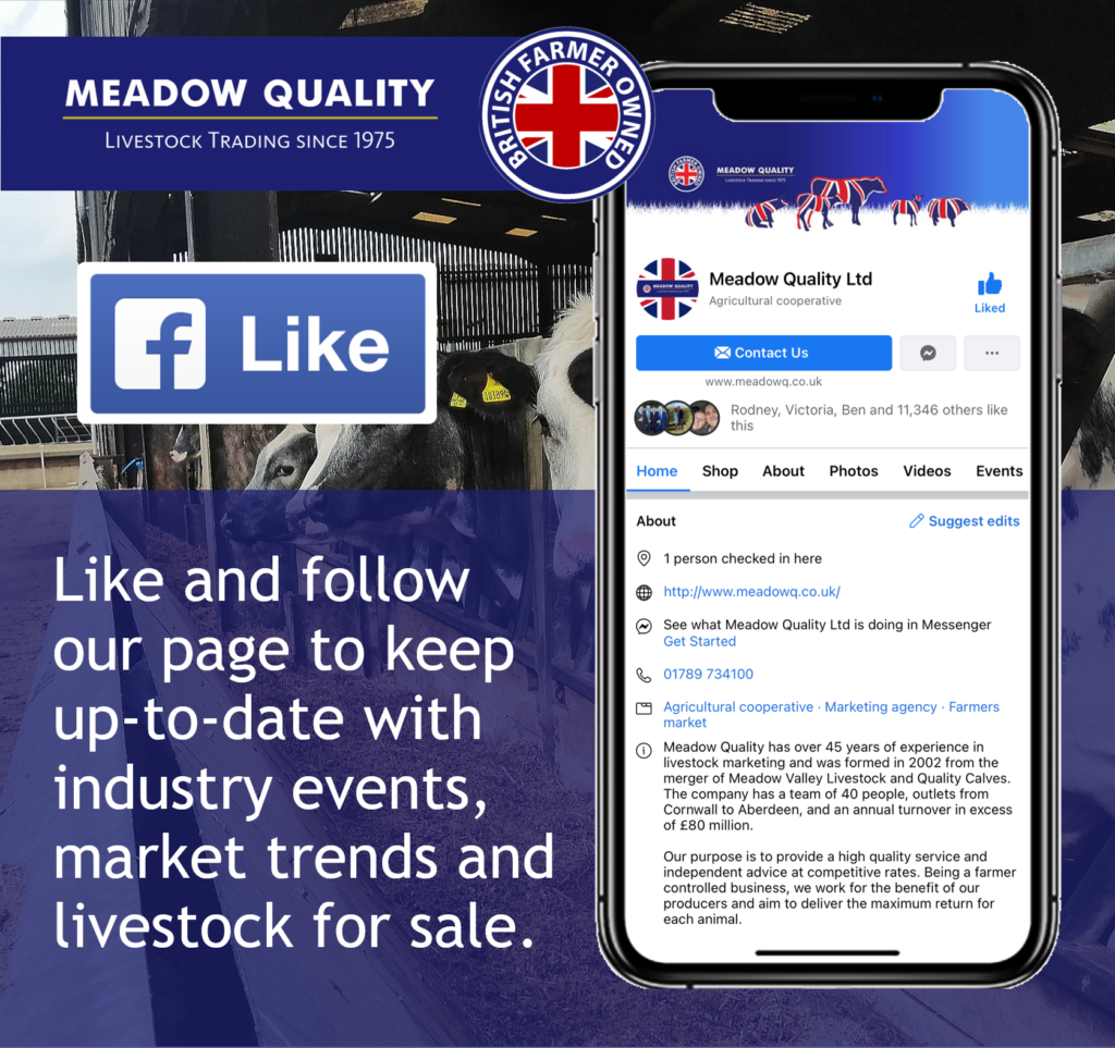 Meadow Quality FB