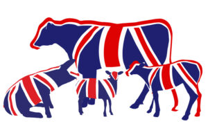 Meadow Quality Union Jack Animals