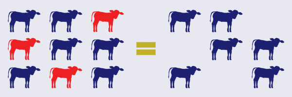 BVD fatalities infographic